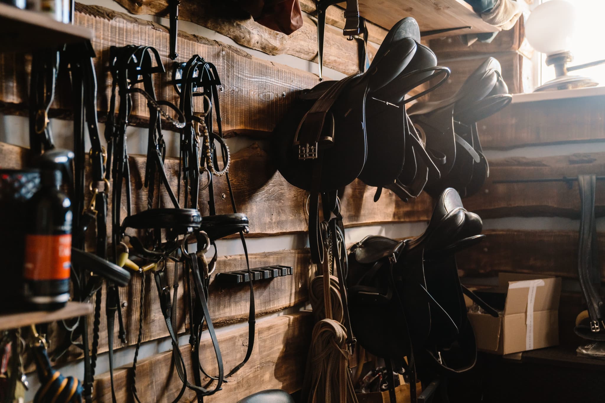 Horse Tack & Equipment