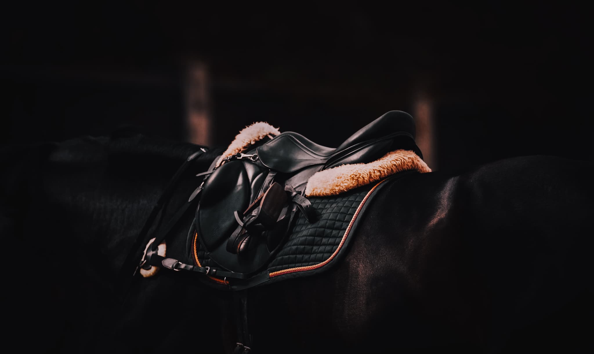 Horse Rugs