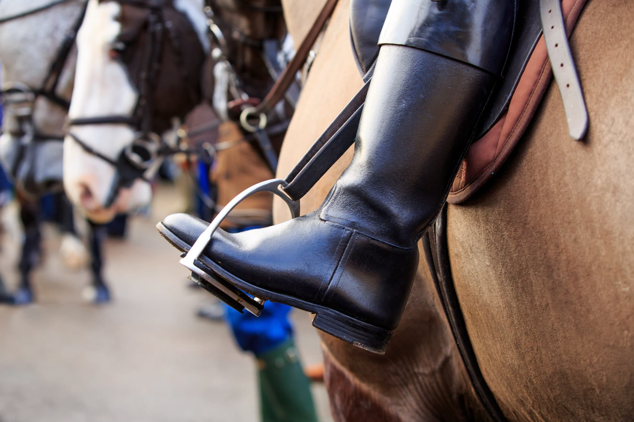 Riding Boots & Footwear